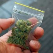 Marijuana - Florida drug charges